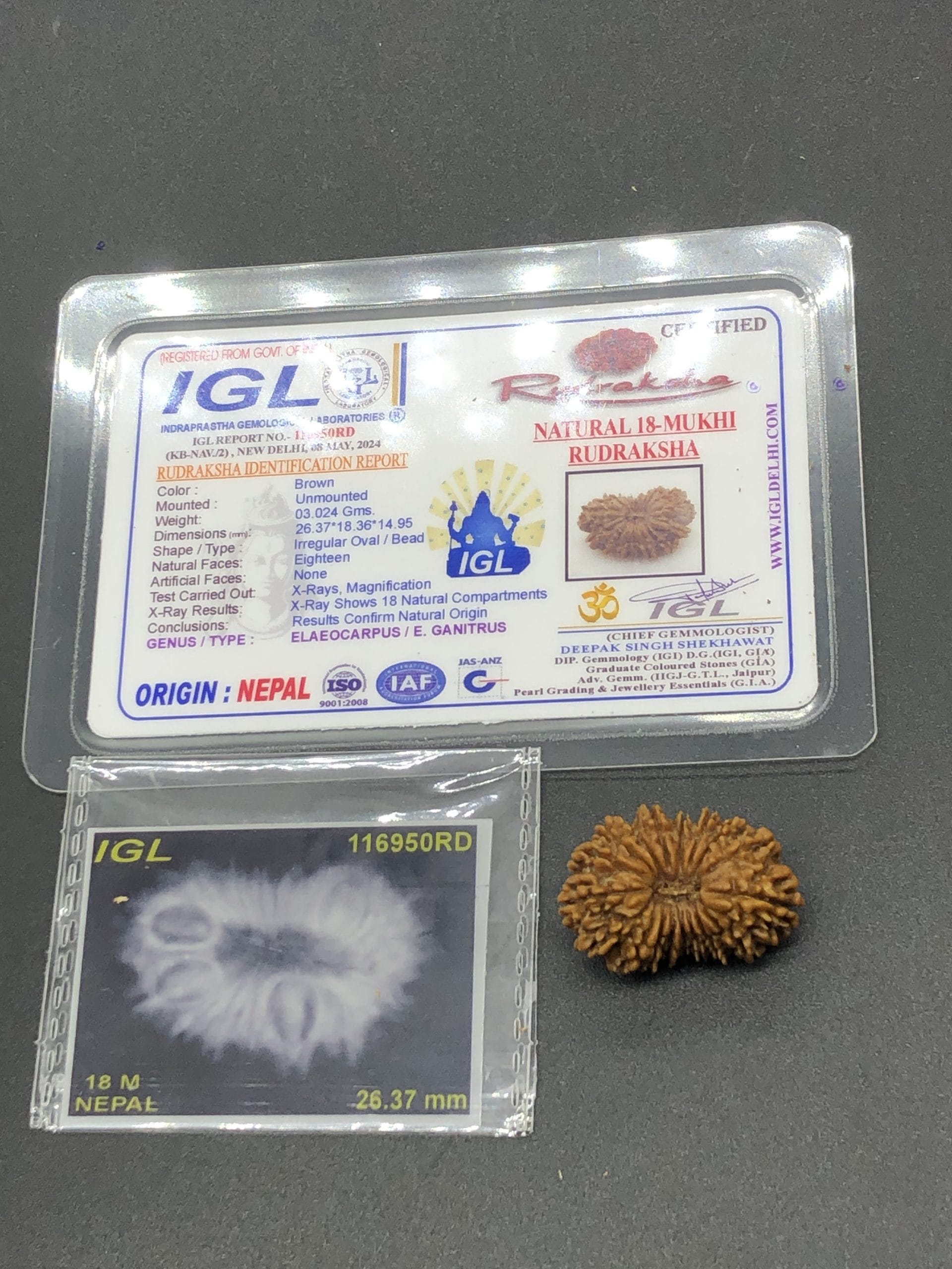 IMG_8646-scaled-1-1.jpg 18 Mukhi Nepal Rudraksha Eighteen Face 26.37mm 3.02 GMS - Image 1