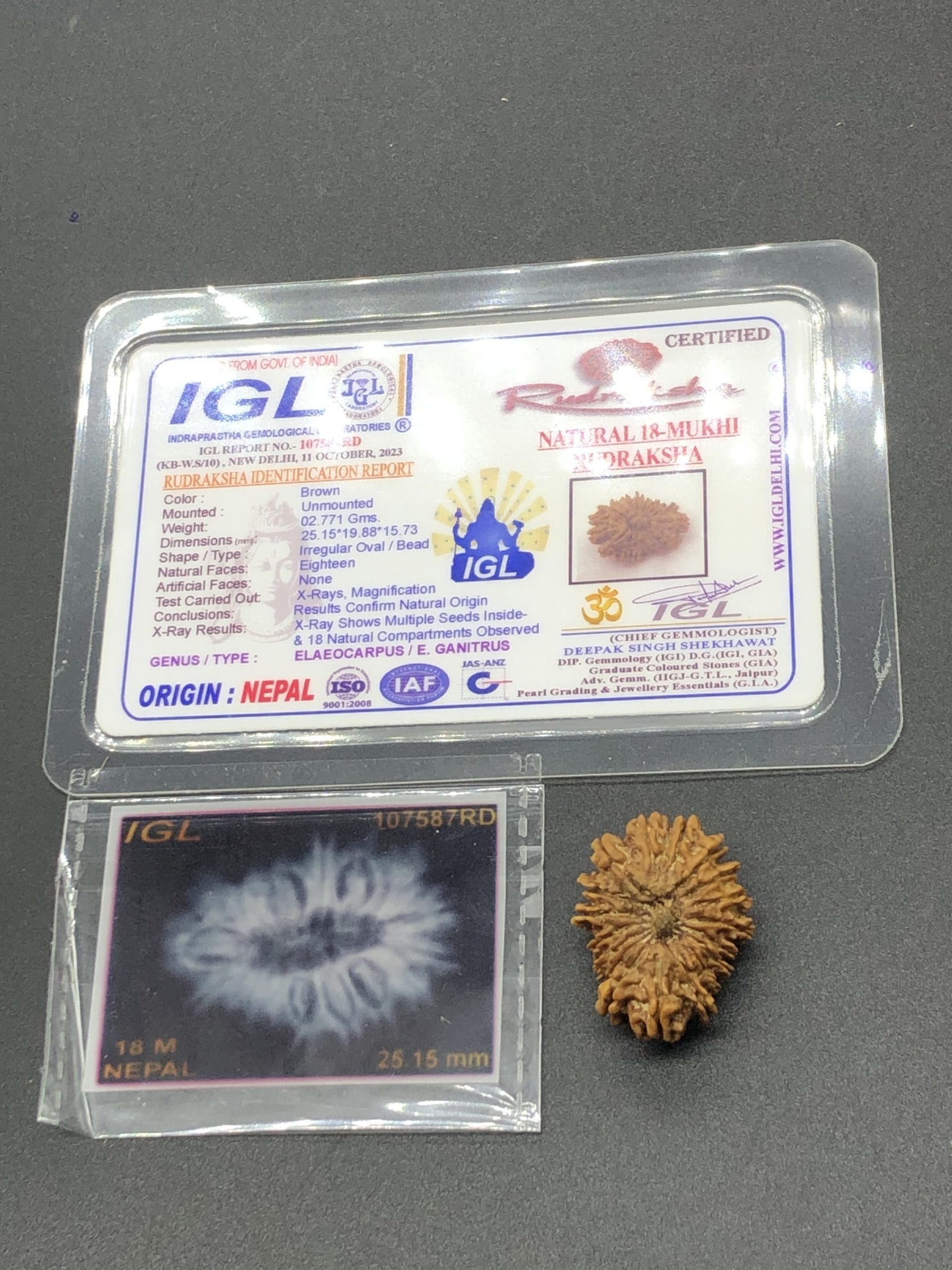 IMG_8649-scaled-1.jpg 18 Mukhi Nepal Rudraksha Eighteen Face 25.15mm 2.77 GMS - Image 1