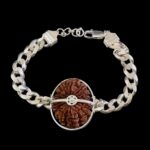 15 Mukhi Nepal Rudraksha In Pure Silver Bracelet