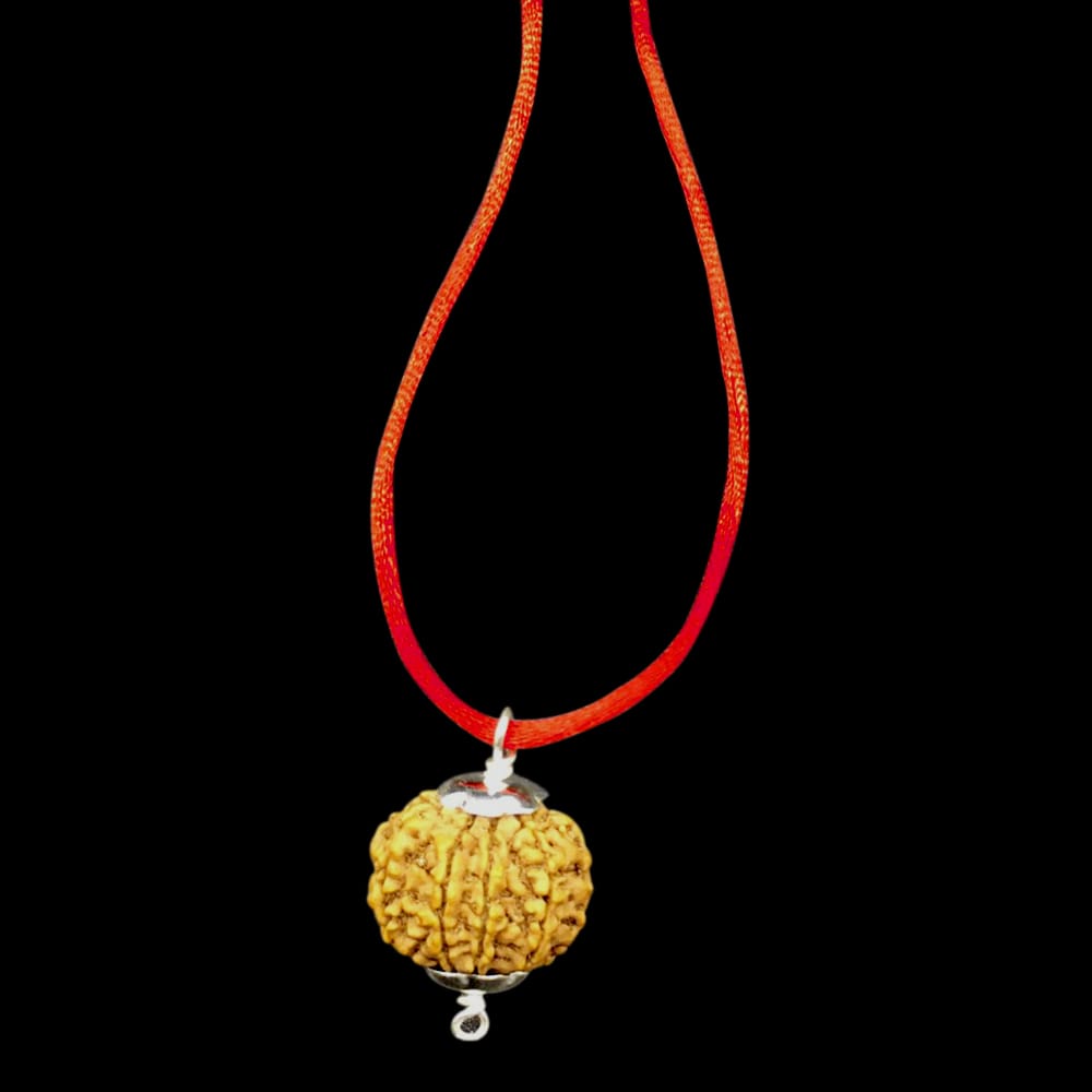 eight.jpg 8 Mukhi Nepal Rudraksha In Pure Silver Pendant - Image 1