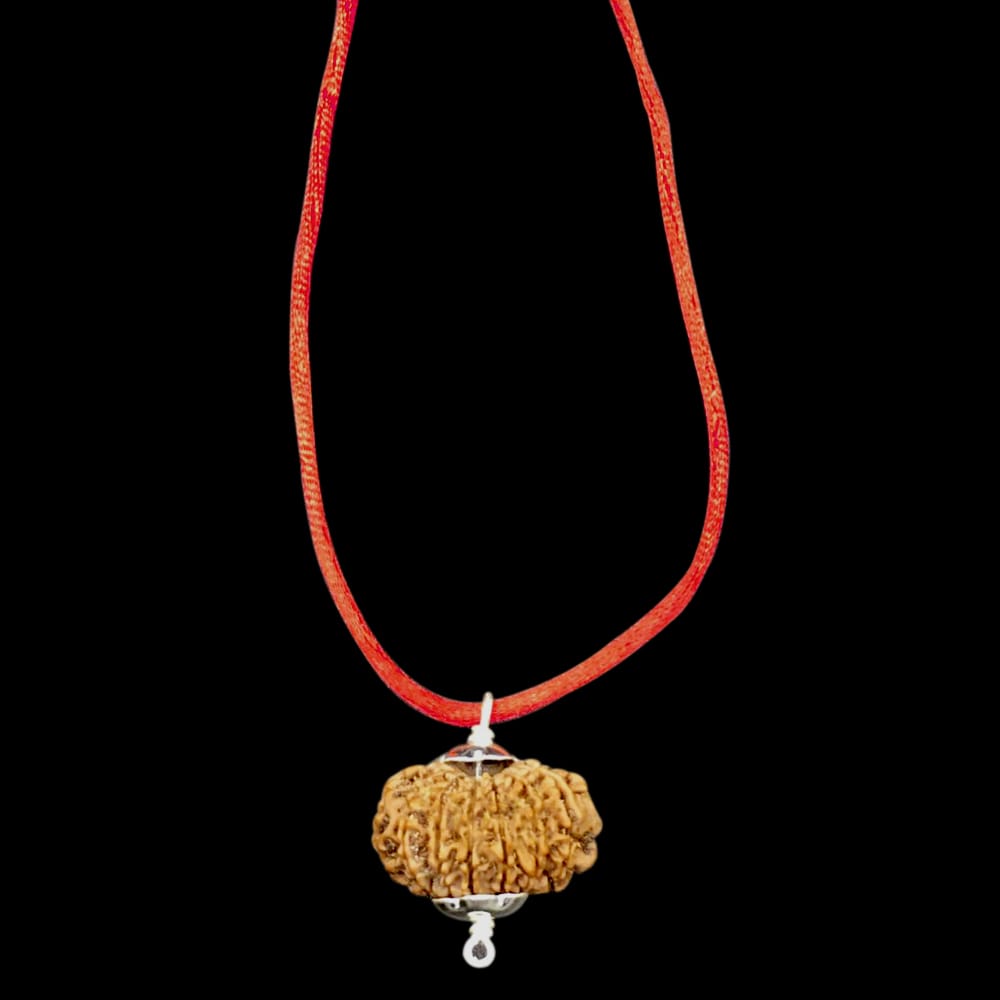 five.jpg 11 Mukhi Nepal Rudraksha In Pure Silver Pendant - Image 1