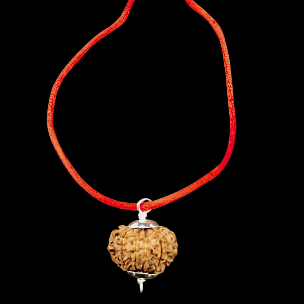 four.jpg 12 Mukhi Nepal Rudraksha In Pure Silver Pendant - Image 1