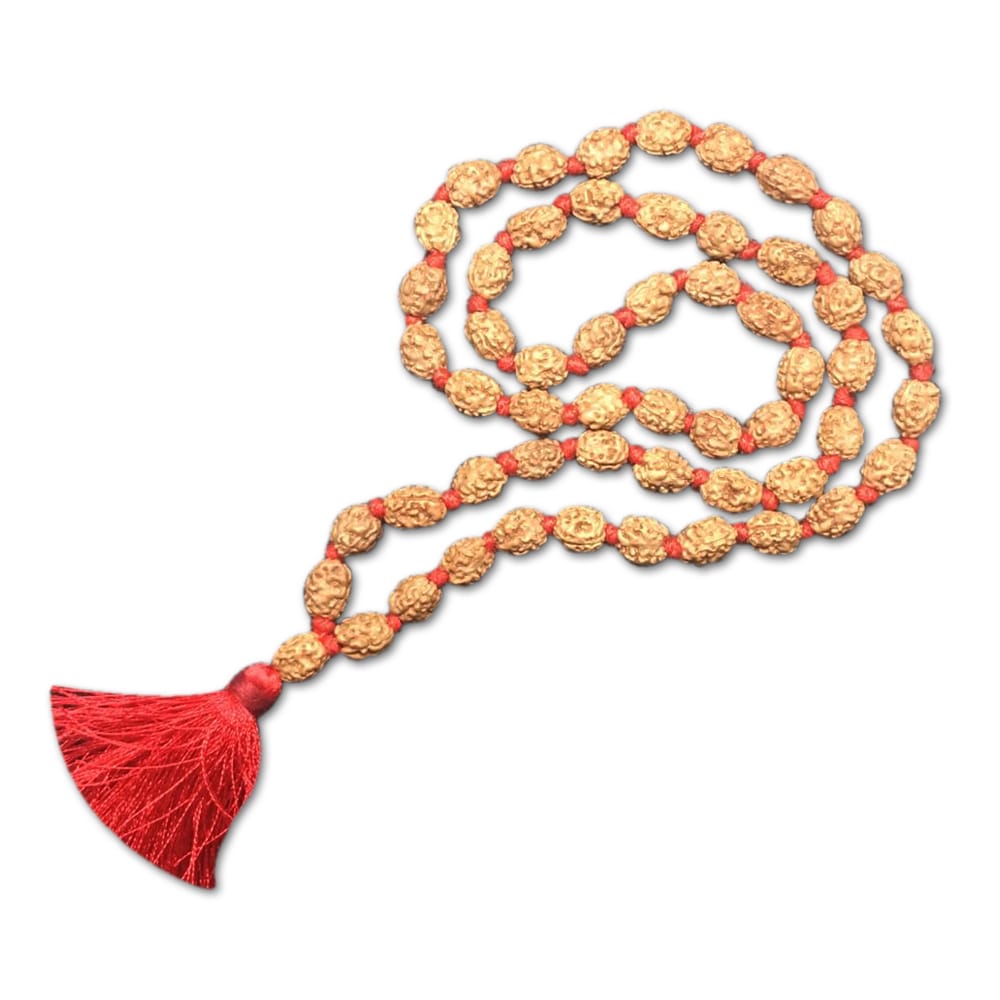 img562.jpg 2 Mukhi Indonesian Rudraksha Mala 54 Beads (7mm-9mm) - Image 1