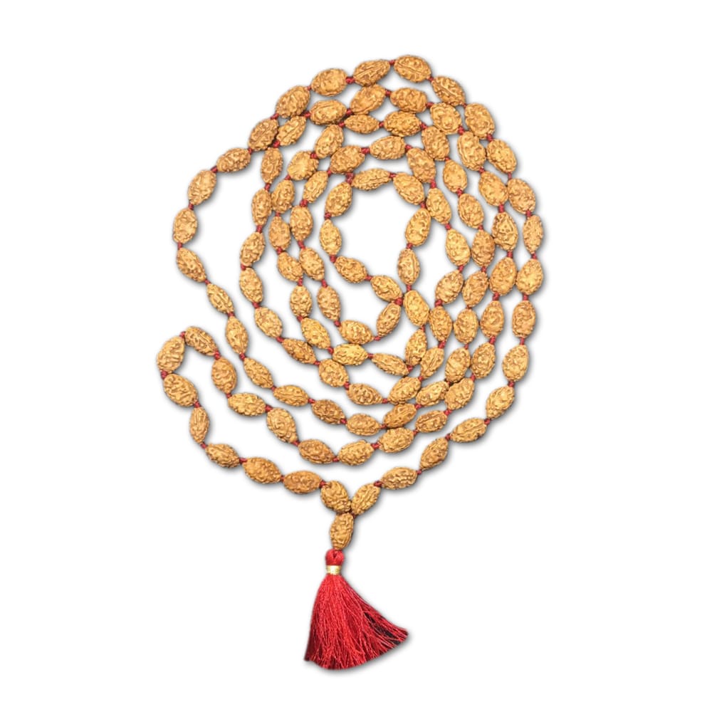 img564.jpg 2 Mukhi Indonesian Rudraksha Mala 108 Beads (7mm-9mm) - Image 1
