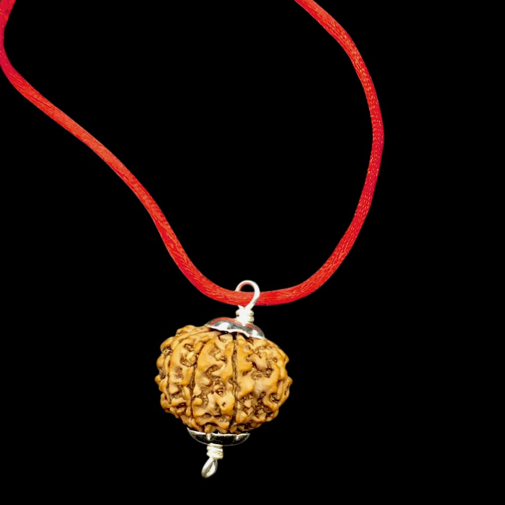 six.jpg 10 Mukhi Nepal Rudraksha In Pure Silver Pendant - Image 1