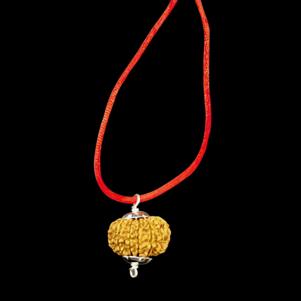 third.jpg 13 Mukhi Nepal Rudraksha In Pure Silver Pendant - Image 1